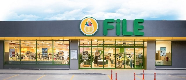fe_fl1